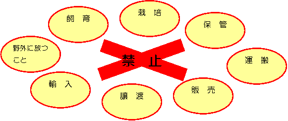 イラスト：特定外来生物は、飼育・栽培・保管・運搬・販売・譲渡・輸入・野外に放つことは禁止
