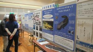 写真：令和7年 展示