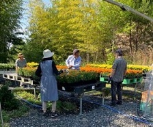 写真：花づくり活動の様子