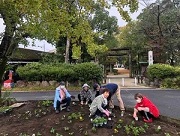 写真：花いっぱい運動の様子