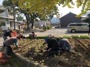 写真：花いっぱい運動の様子