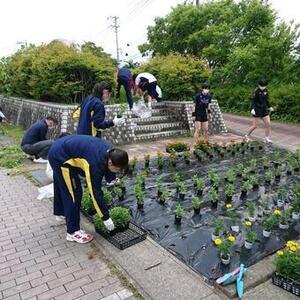 写真：ボランティア活動の様子1