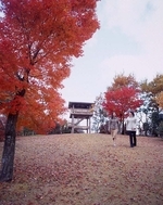 写真：かさはら潮見の森　秋