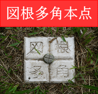 写真：図根多角本点1