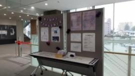 写真：女性に対する暴力をなくす運動の展示（駅北庁舎）