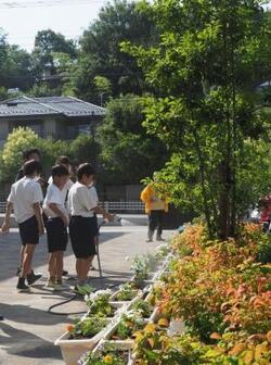 写真：小泉小学校人権の花運動苗植え式2