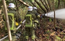 写真：合同林野火災訓練1