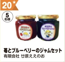 写真：20 苺とブルーベリーのジャムセット