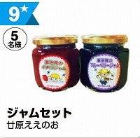 写真：9 ジャムセット