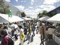 写真：茶碗まつり1