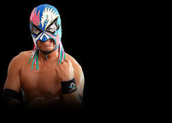 写真：問題龍さん