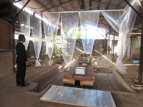 写真：ART&nbsp;in&nbsp;MINO&nbsp;土から生える2024 2