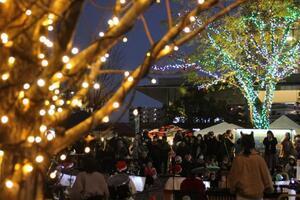 写真：イルミネーション