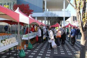 写真：市民農業祭2