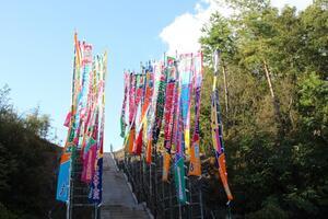 写真：大相撲多治見場所のぼり旗