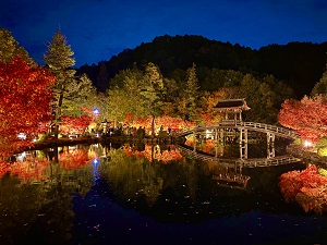 第8回Instagramフォトコンテスト入選作品(永保寺)