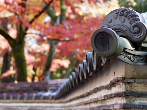 第8回Instagramフォトコンテスト入選作品(永保寺)