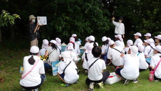 写真：普及の様子