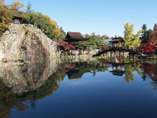 写真：庭園の池