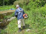 川沿いの草を刈っている写真