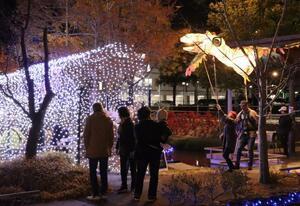 写真：たじみネーション1