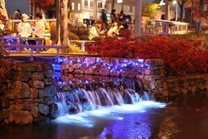 写真：たじみネーション2