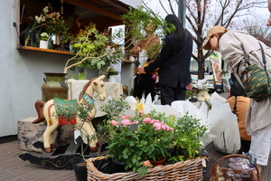 写真:令和8年3月20日パンと器と花屋の店先