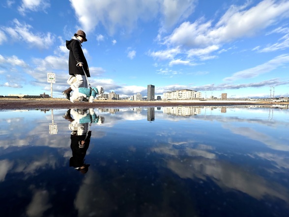 第7回フォトコンテスト受賞作品(土岐川堤防道路と愛犬散歩中の写真)