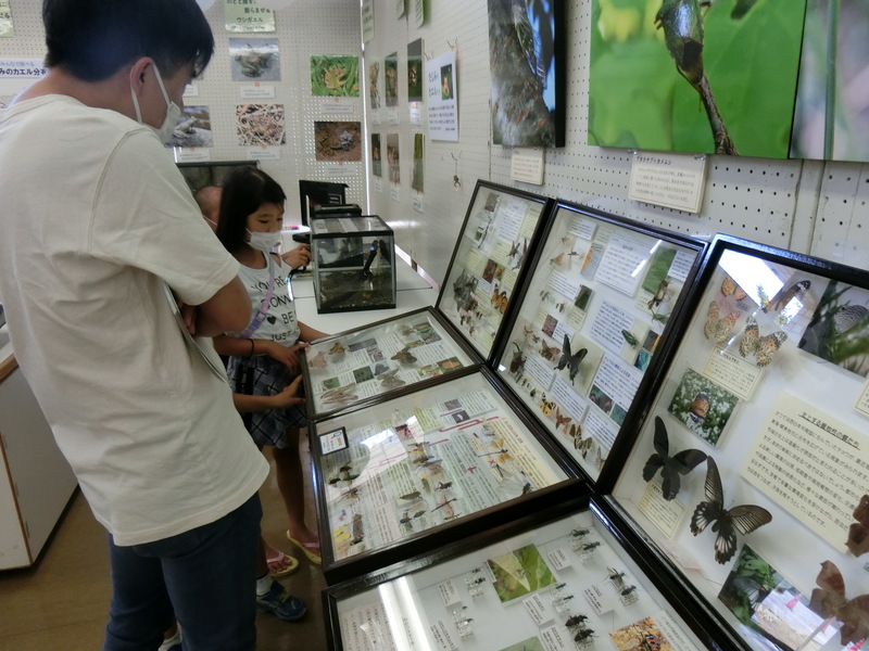 展示2