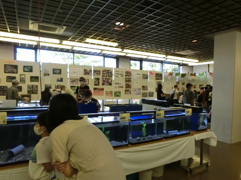 展示3