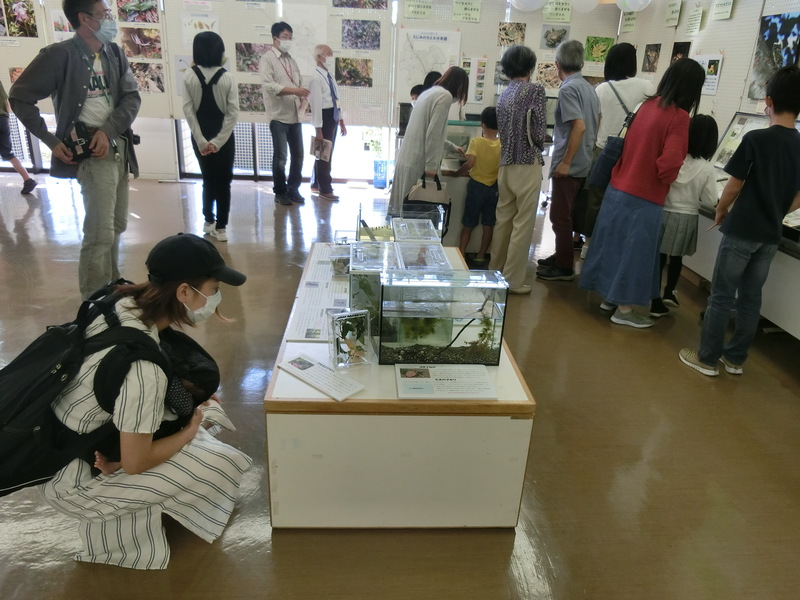 展示1