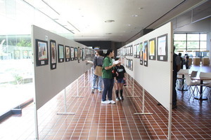 自然展2026写真6