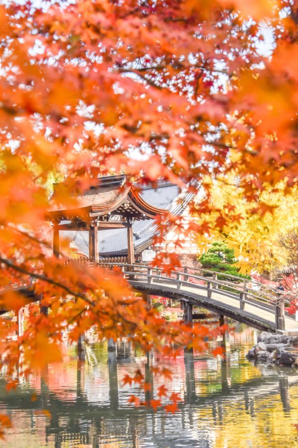 永保寺秋の無際橋の様子