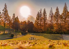 脇之島中央公園の作品