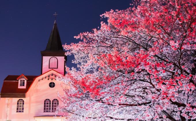 夜桜と修道院