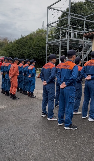 せいれつのようす