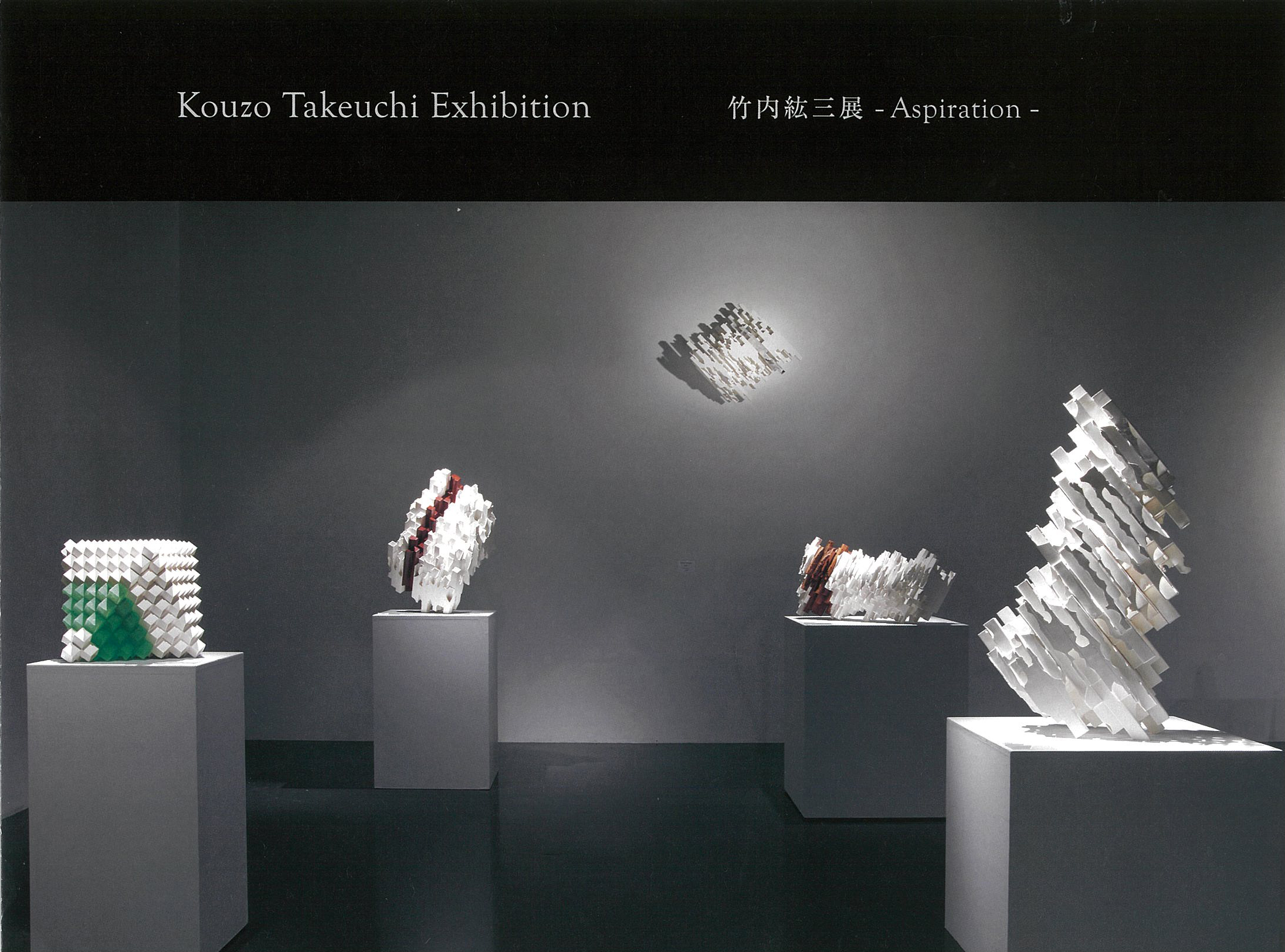 竹内 紘三展 - Aspiration -