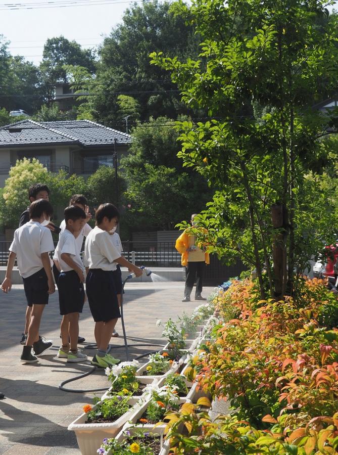 小泉小学校人権の花運動苗植え式2