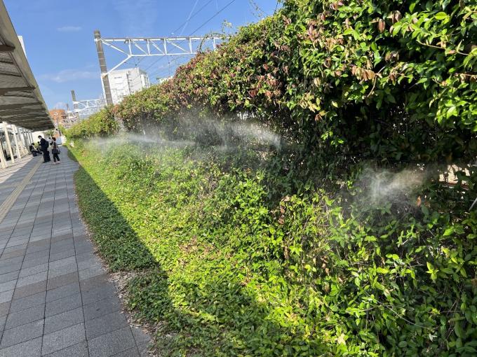 駅北ミスト写真