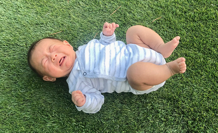 芝生に転がる赤ちゃんの写真