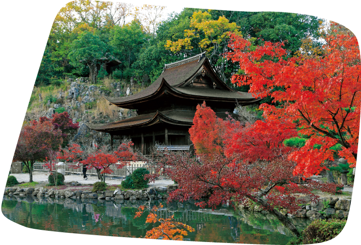 紅葉が美しい永保寺の写真
